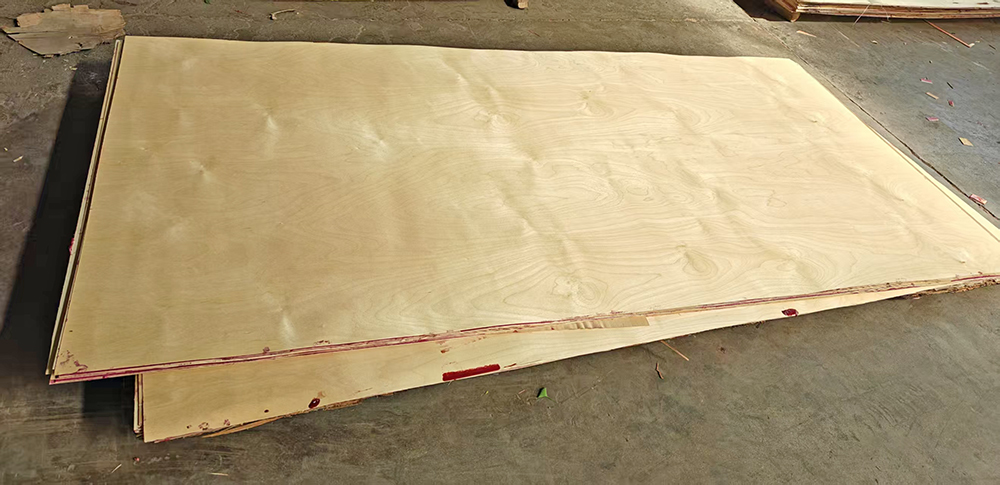 微信图片_2025-11-12_104727_758  1000.jpg